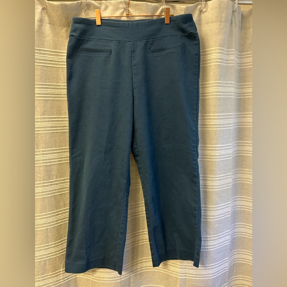 Wonderly pants 16P